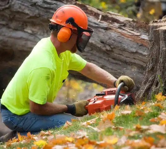 tree services Brown City